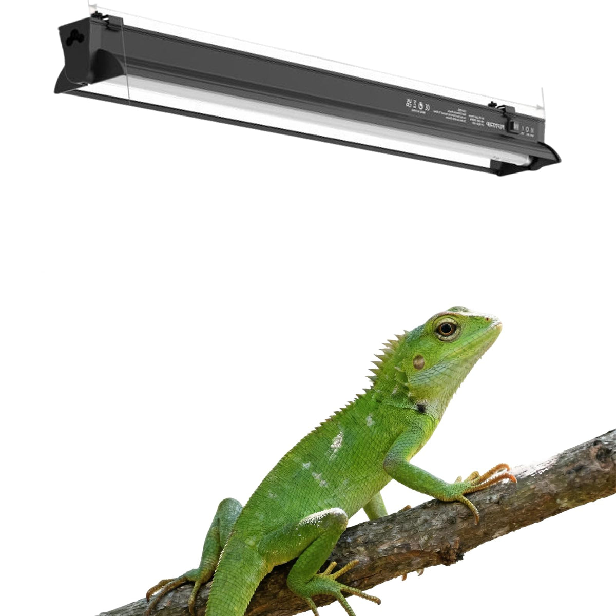 15W T5 HO UVB Terrarium Hood with Detachable Curved Reflector Q844