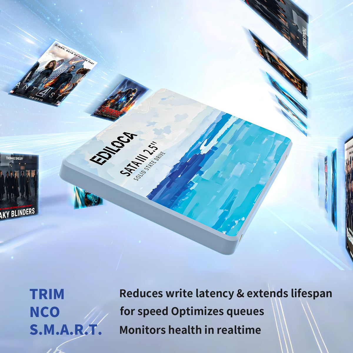 120GB 2.5" SATA III Internal Solid State Drive W5448