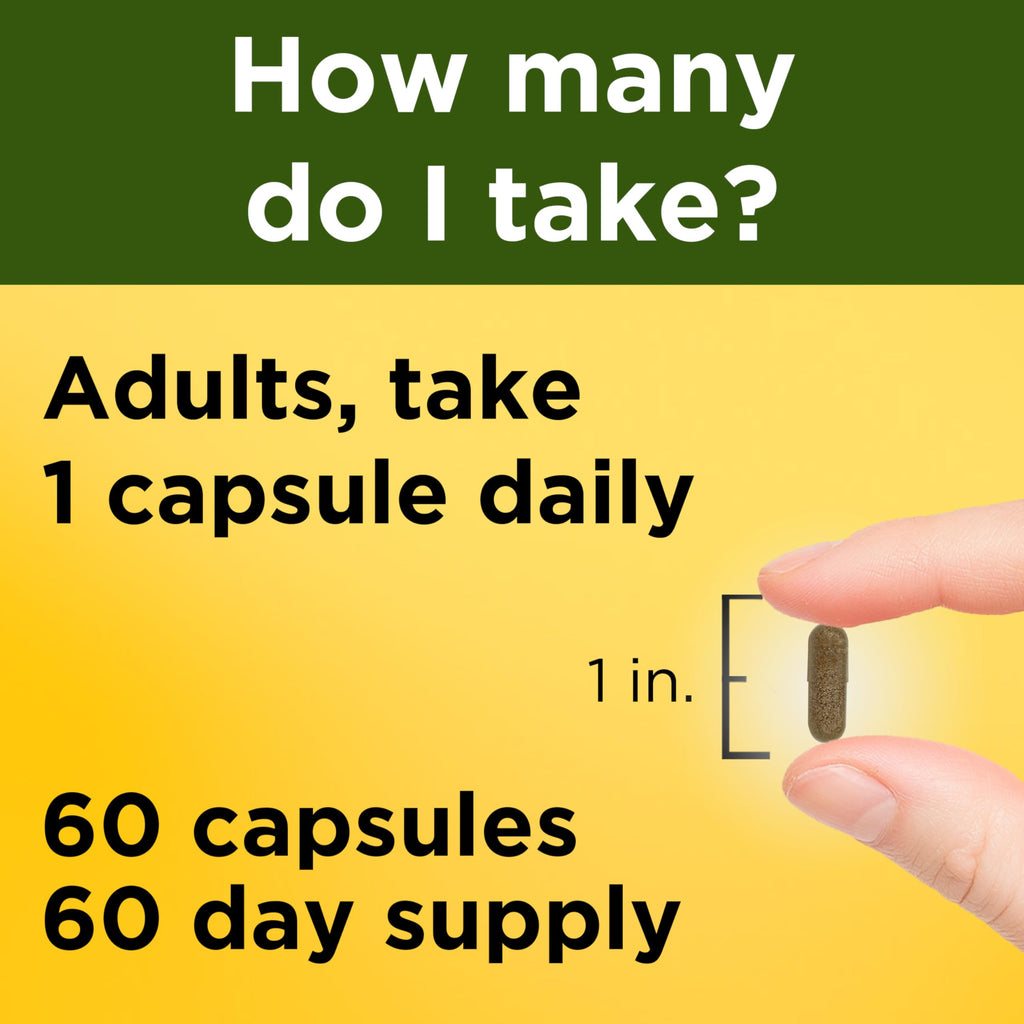 Ashwagandha Capsules 125mg 60 Capsules V463