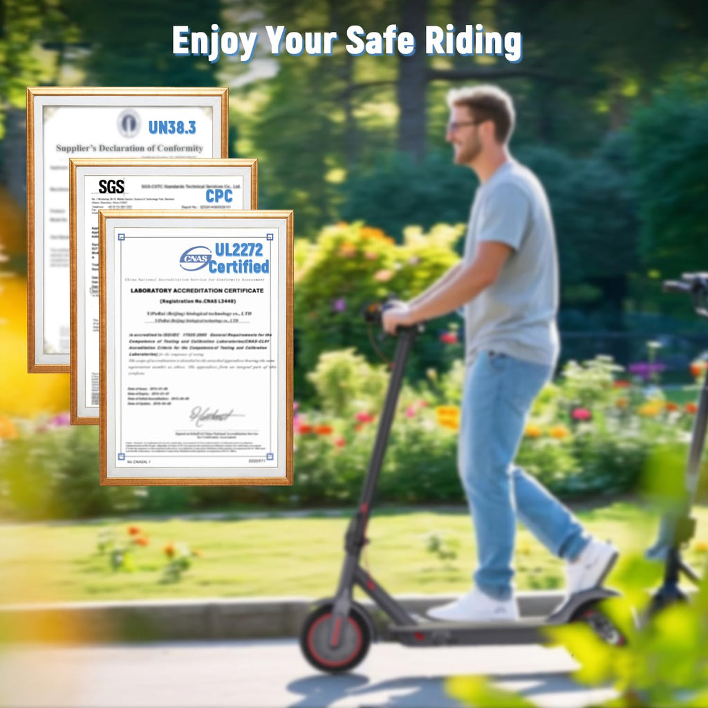 Electric Scooter 350W/500W Motor 8.5'' Solid Tire A531