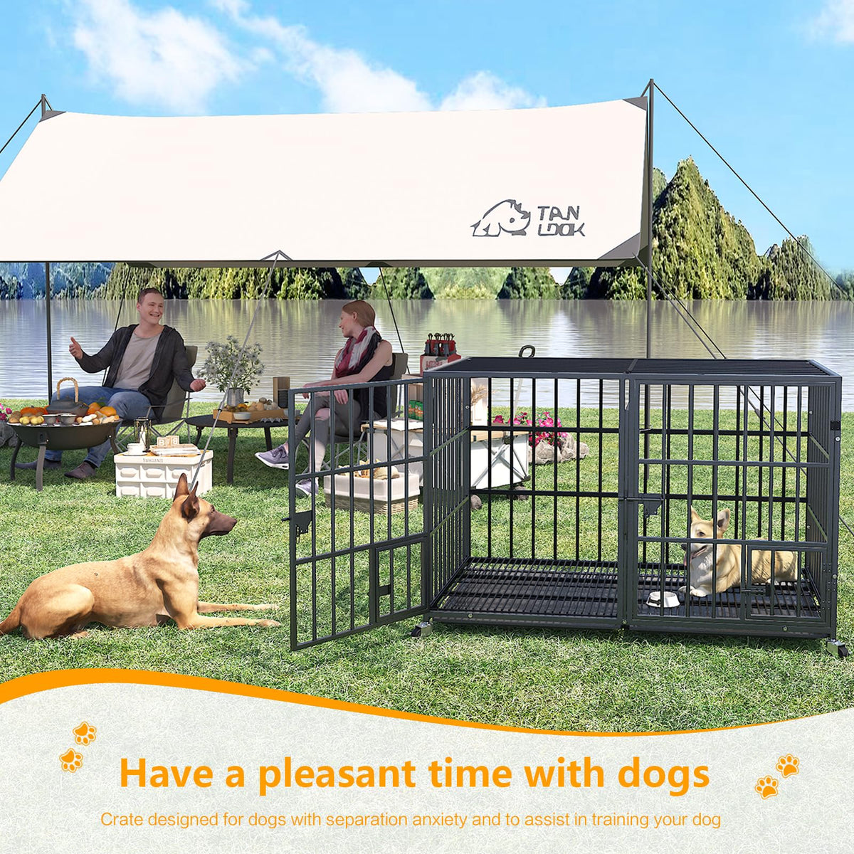 42 Inch Heavy Duty Metal Dog Crate with Divider M630675