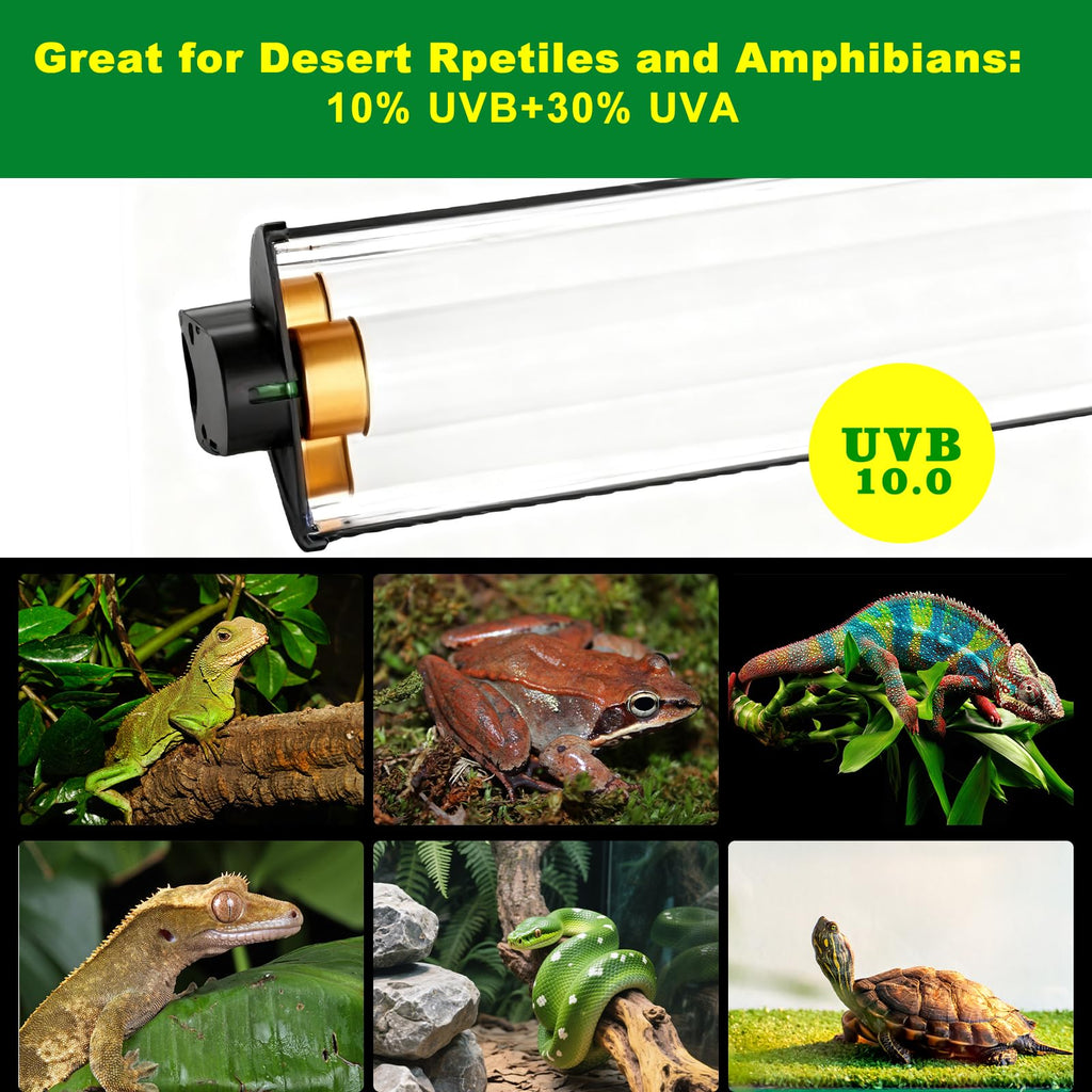 15W T5 HO UVB Terrarium Hood with Detachable Curved Reflector Q844
