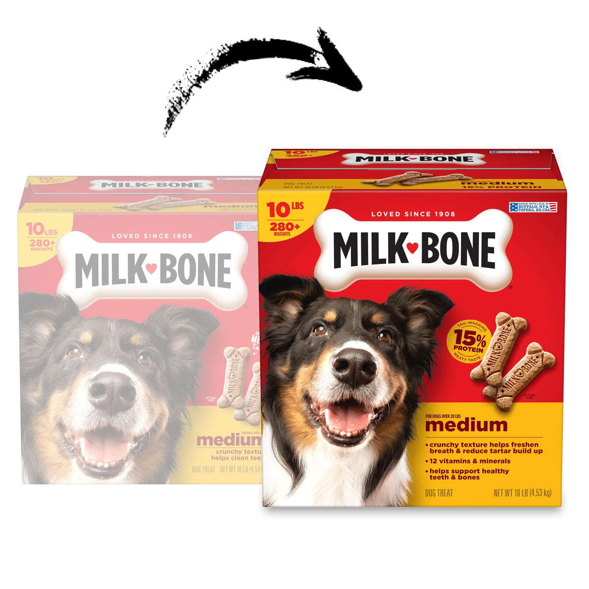 Medium Dog Biscuits 10 lb Box I88288