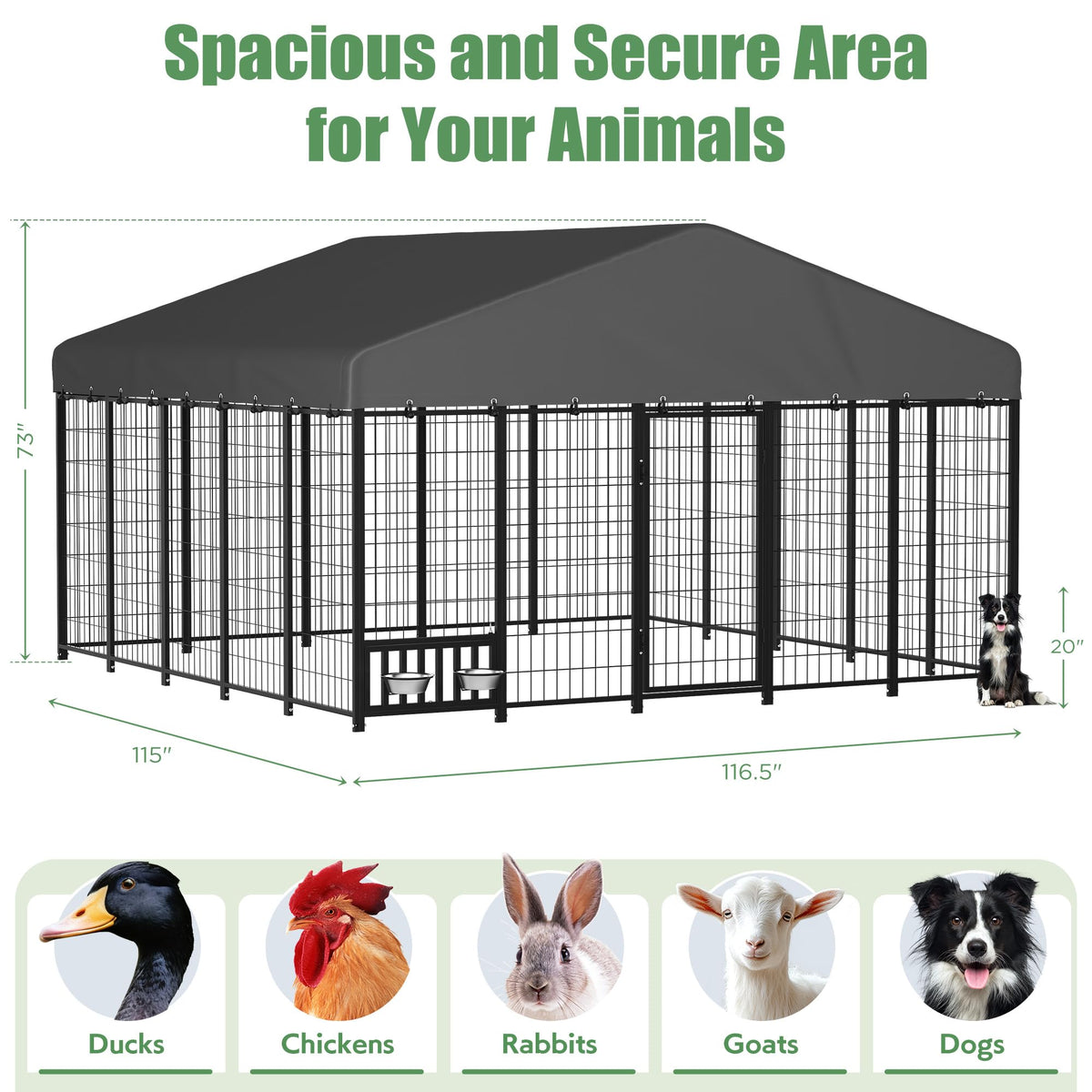 10x10 Ft Outdoor Dog Kennel A665
