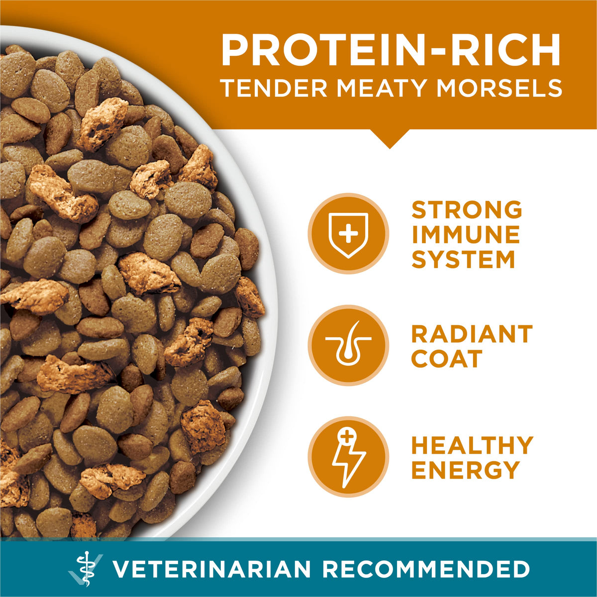 Dry Cat Food Chicken 7 lb Bag T9831