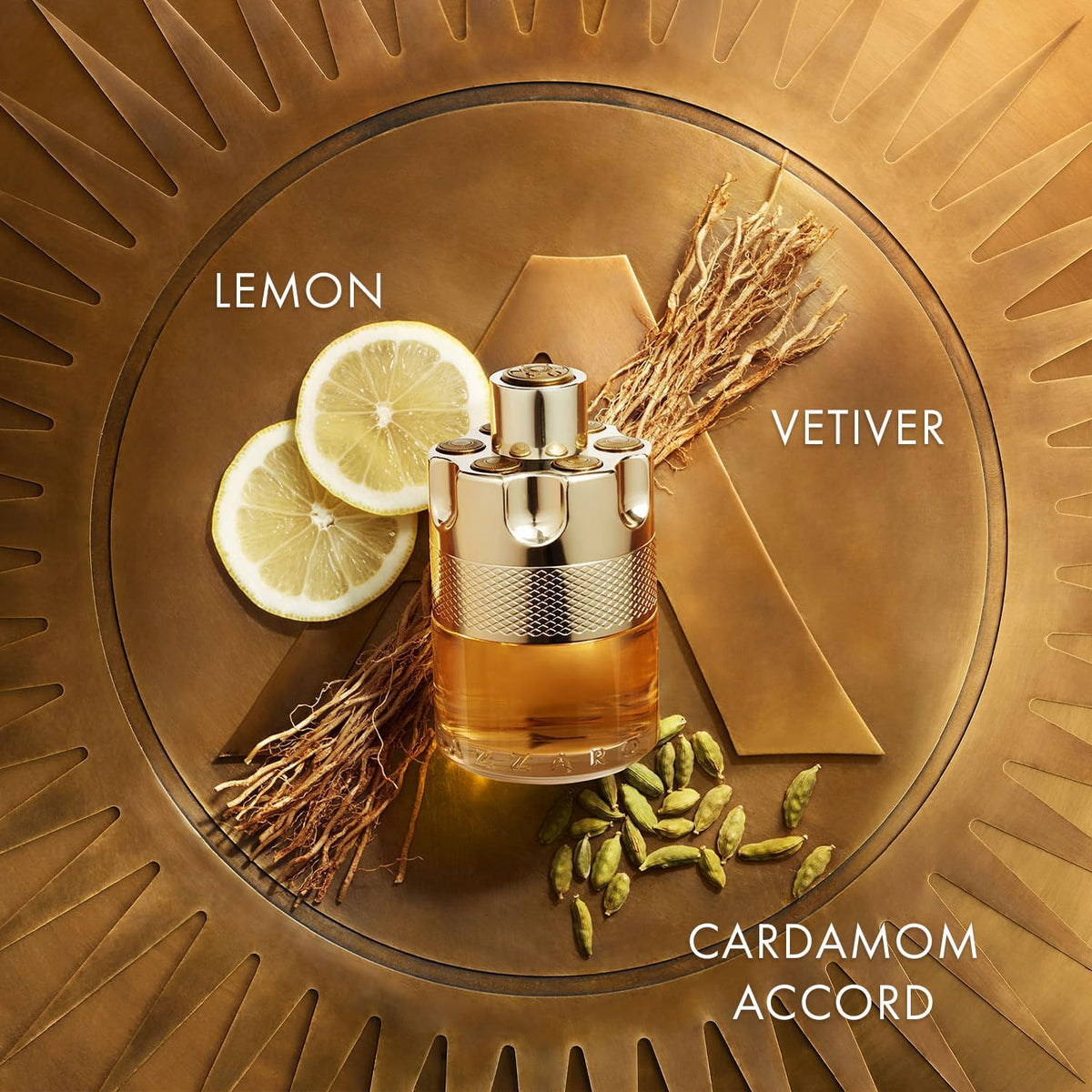 Woody Citrus Eau de Toilette 3.3 Fl Oz A77620